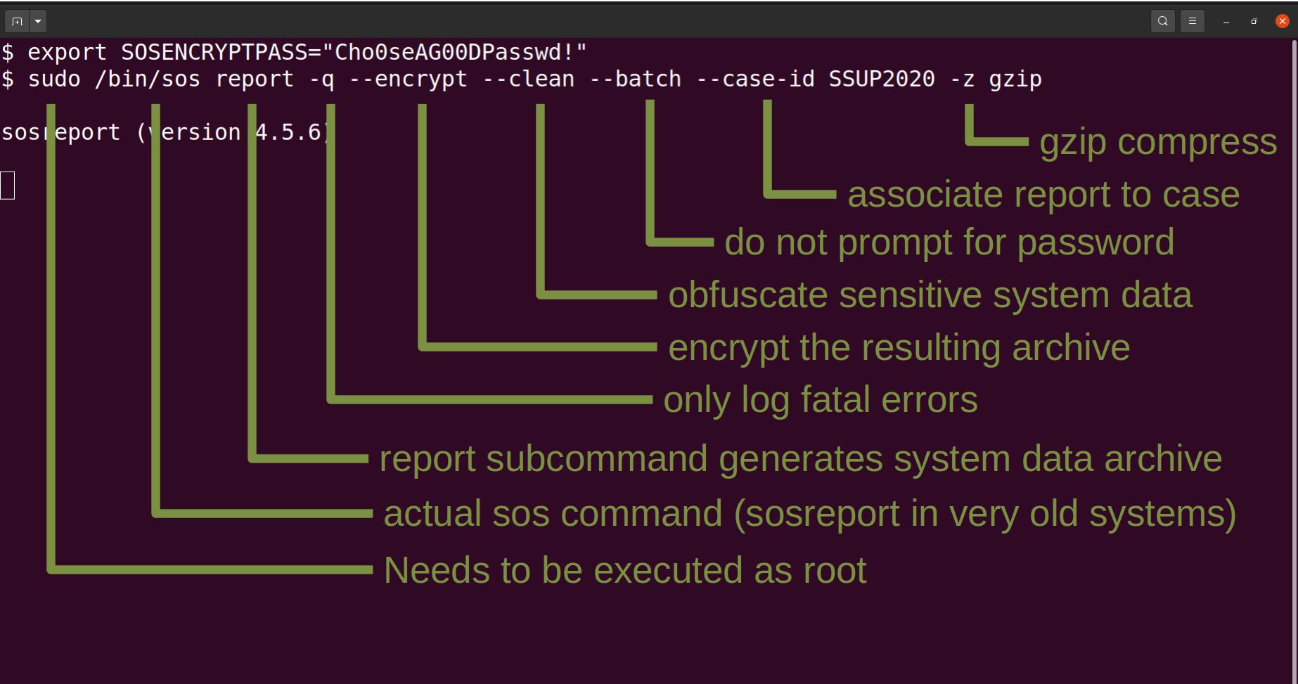 Step 1. Run the sos report command